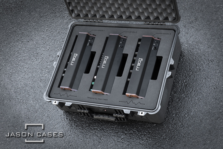 Jason Cases Moog Semi-modular Eurorack Analog 3-Synthesizer case