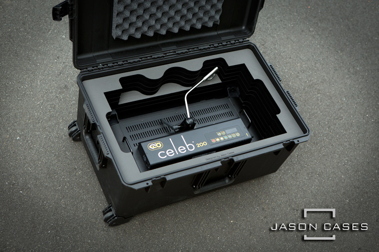 Jason Cases Kino Flo Celeb 200 DMX LED case