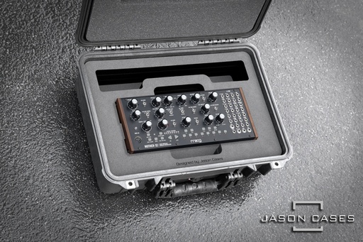 [MGEURPL] Jason Cases Moog Semi-modular Eurorack Analog Synthesizer case
