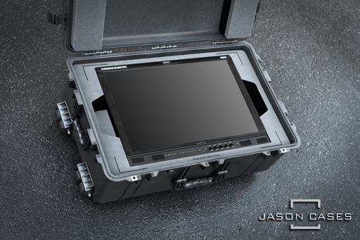 [FLDM242PL] Flanders DM242 Monitor case