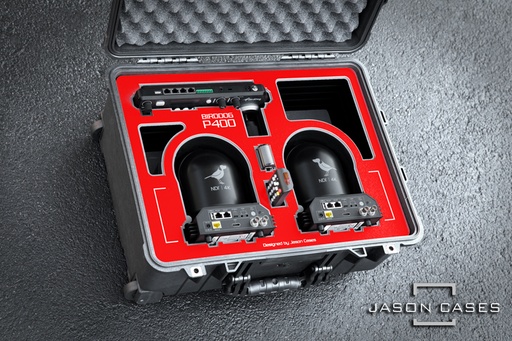[BDP400RE] Jason Cases BirdDog P400 Robos Case