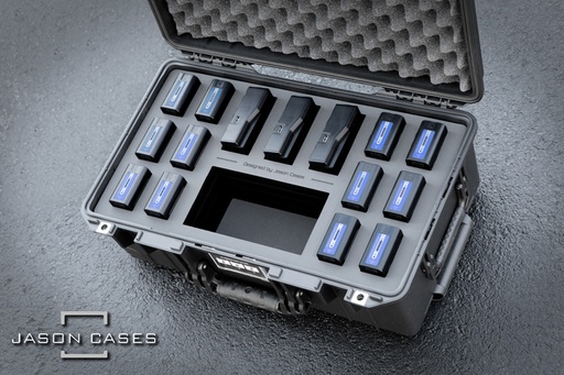 [SNNPFPL] Jason Cases Sony NP-F Battery Case